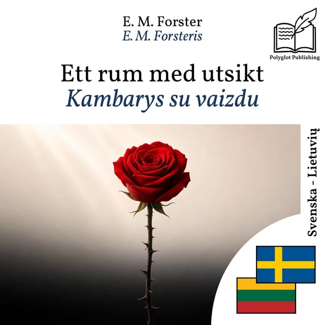 Kambarys su vaizdu