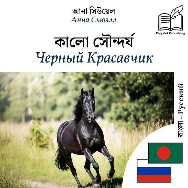 Черный Красавчик