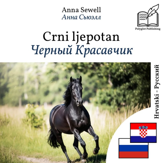 Черный Красавчик