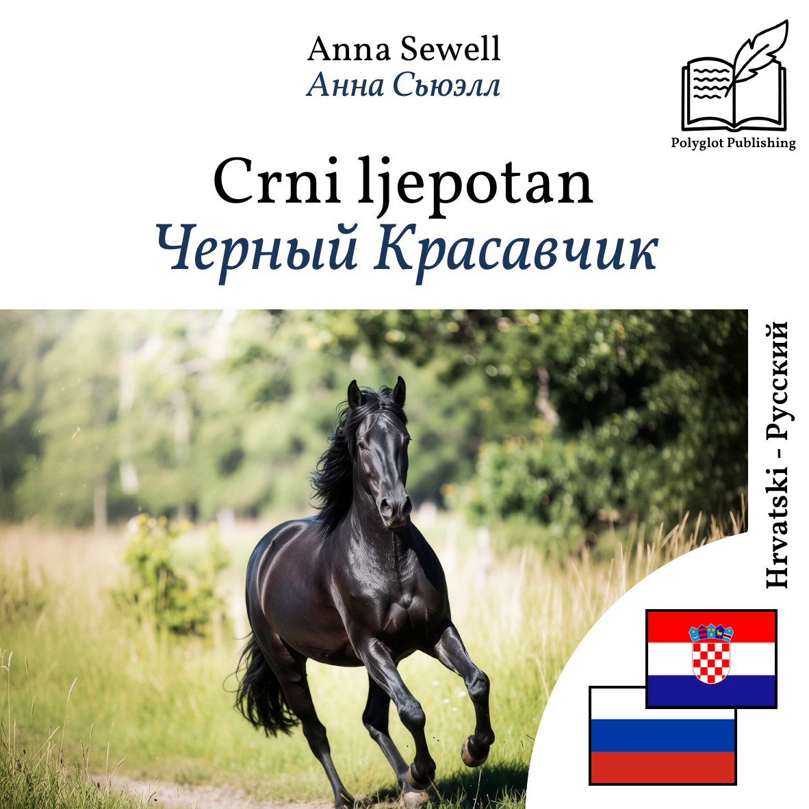 Черный Красавчик