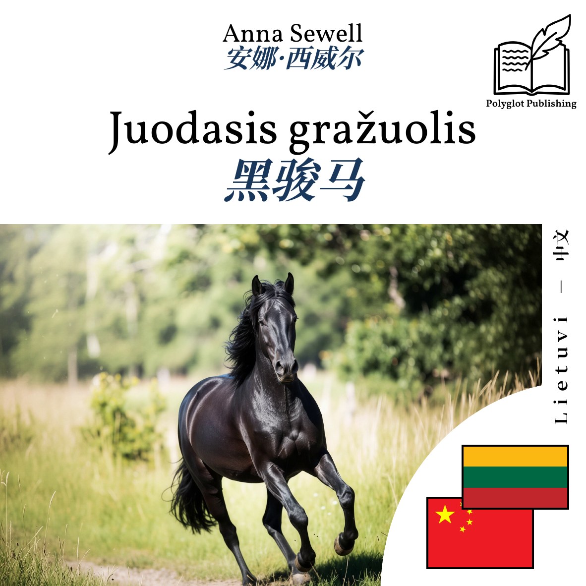黑骏马