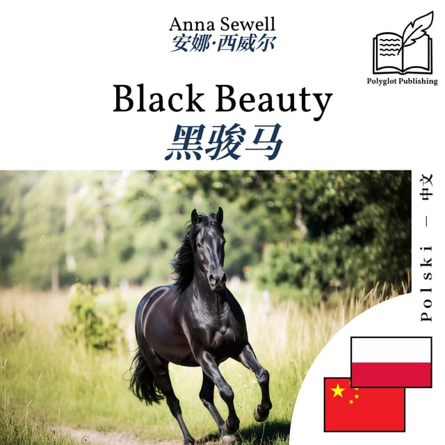 黑骏马