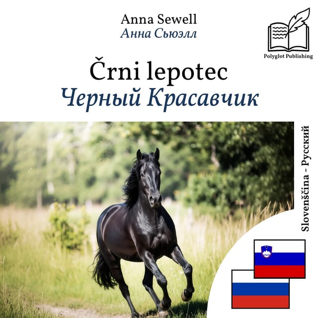 Черный Красавчик