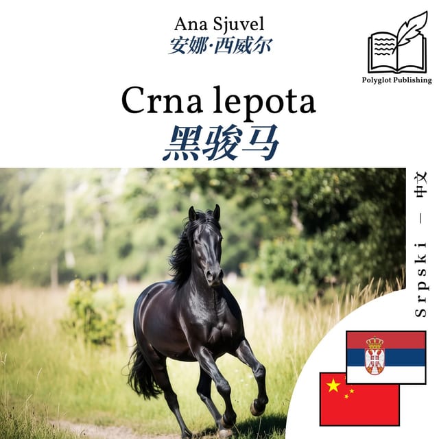 黑骏马