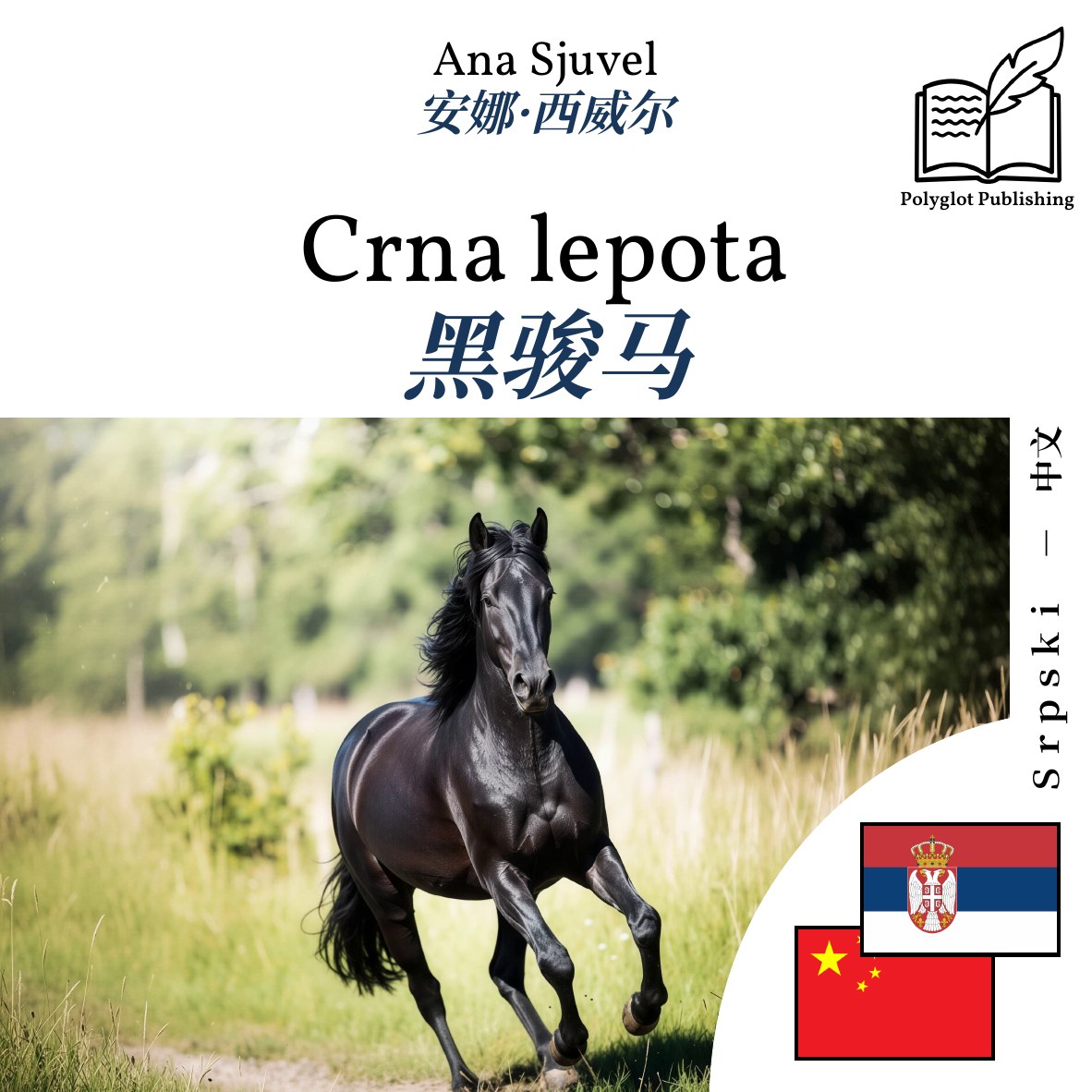 黑骏马
