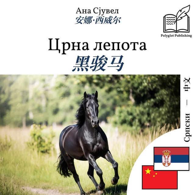 黑骏马