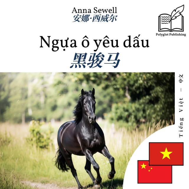 黑骏马