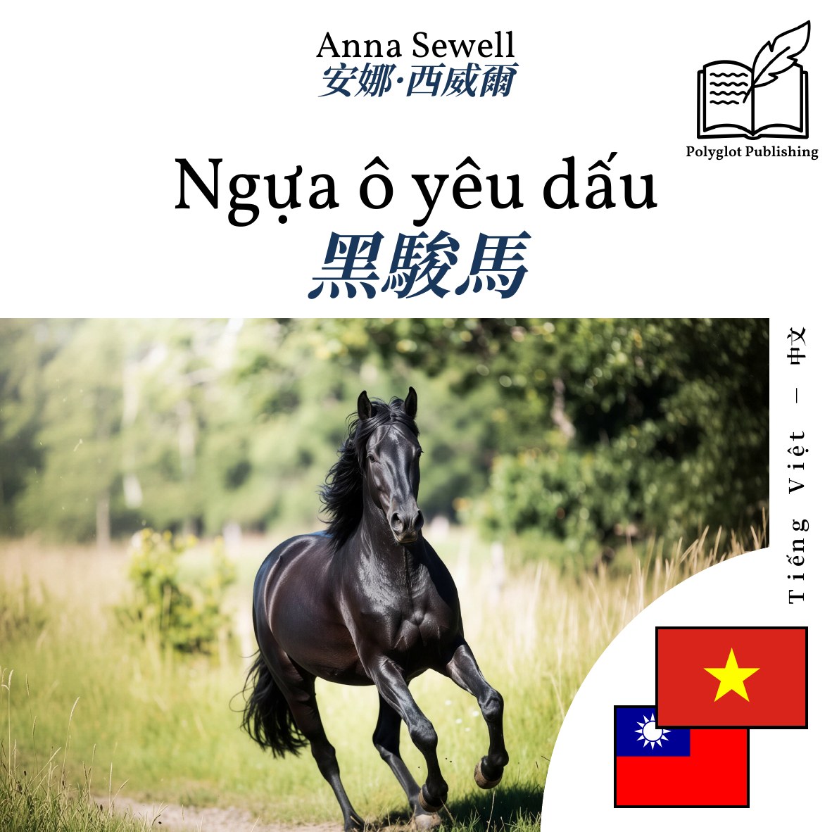 黑駿馬