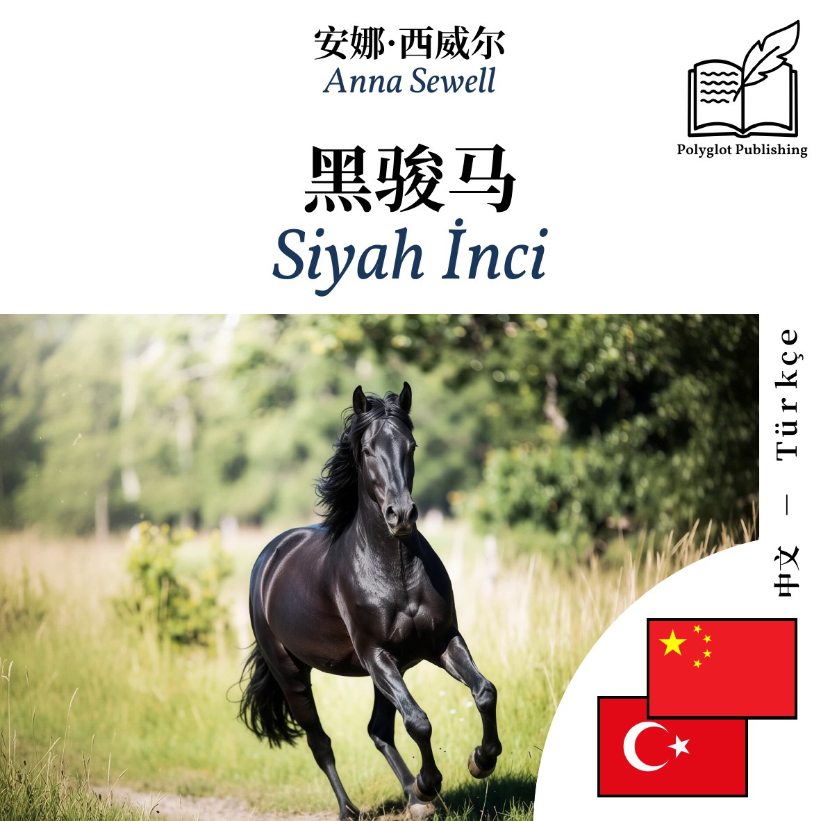 Siyah İnci