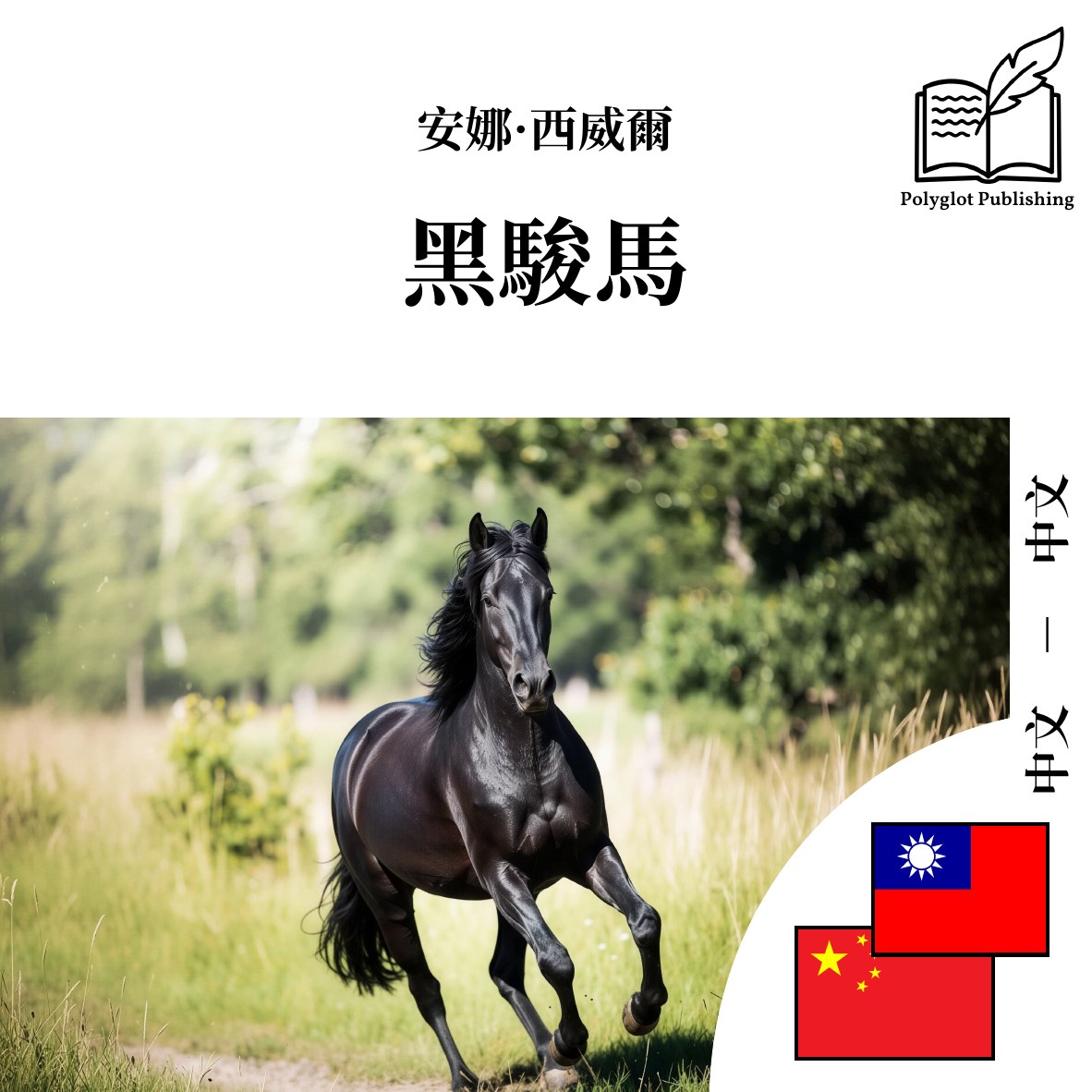黑骏马