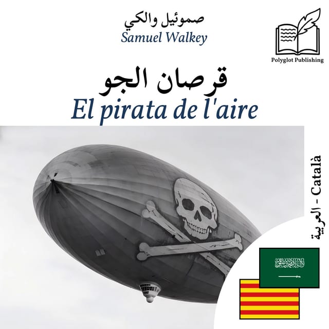 El pirata de l'aire