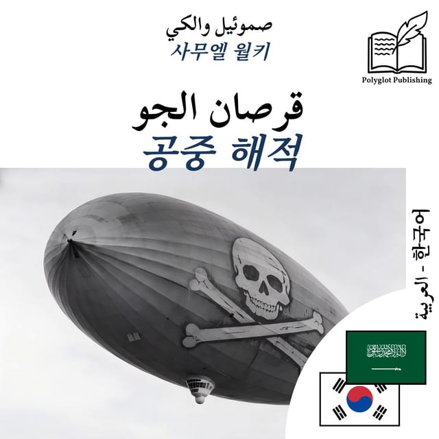 공중 해적