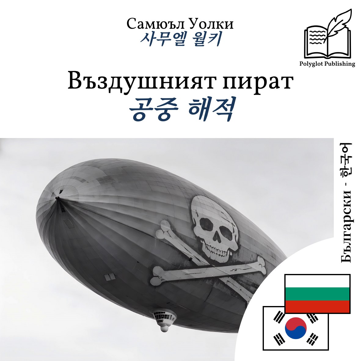 공중 해적