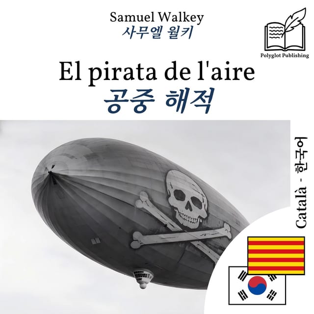 공중 해적