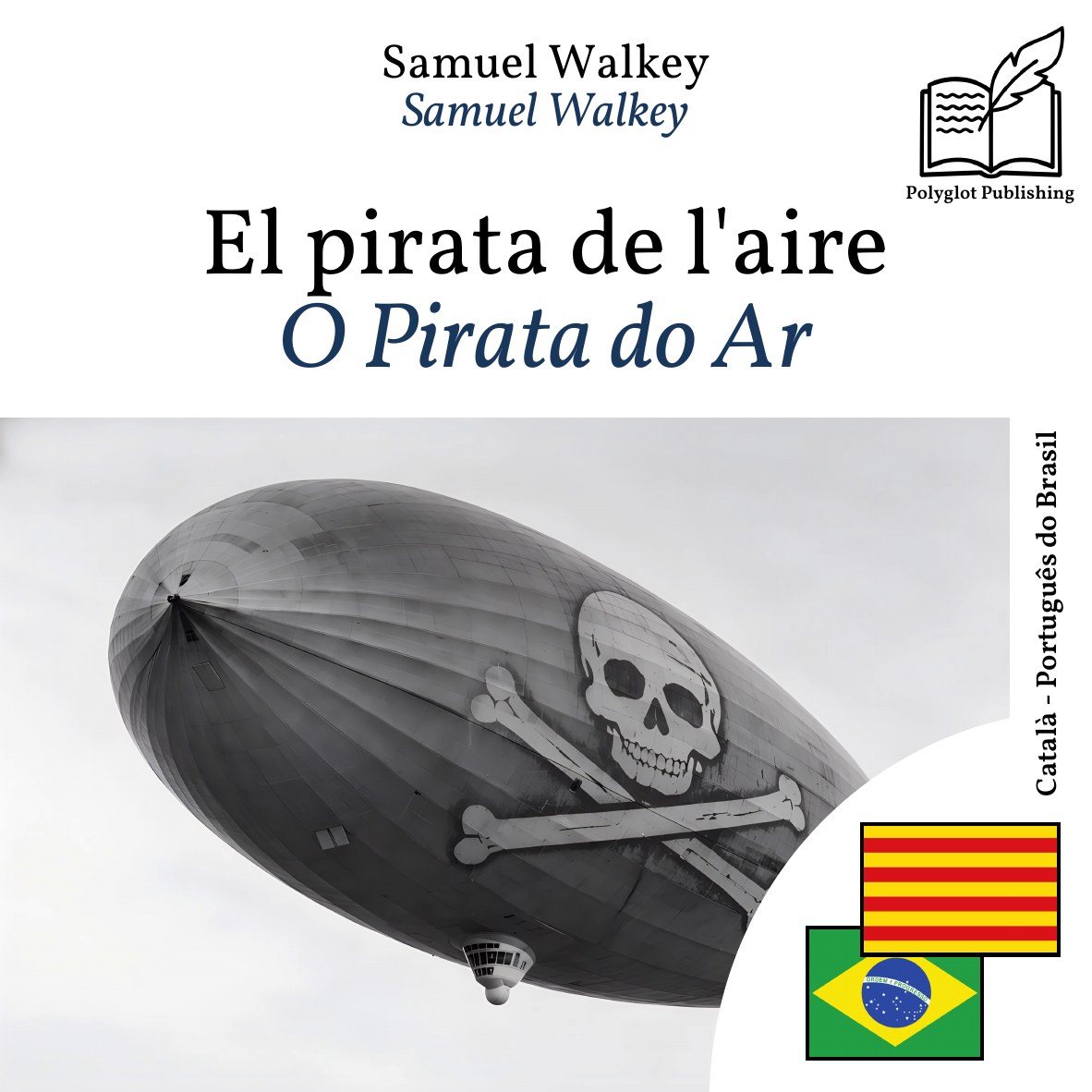 O Pirata do Ar