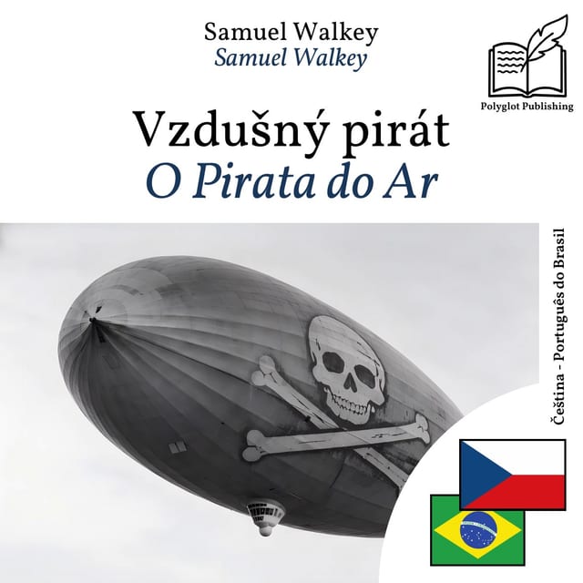 O Pirata do Ar