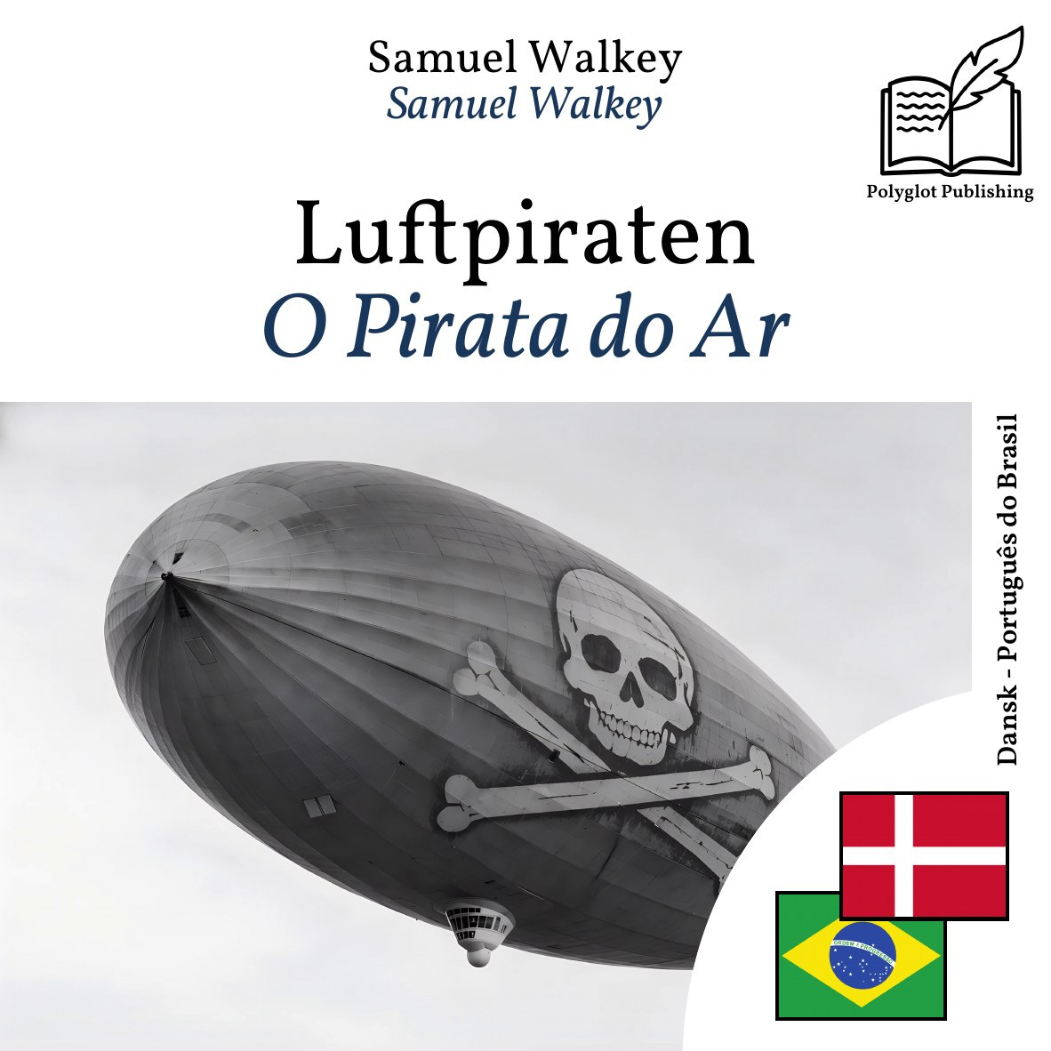 O Pirata do Ar