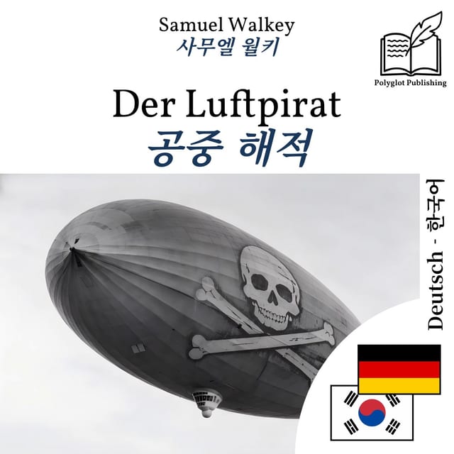 공중 해적