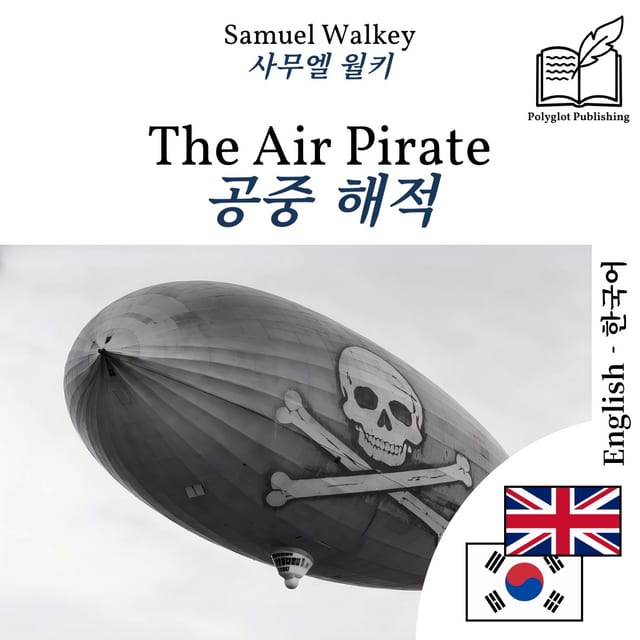 공중 해적