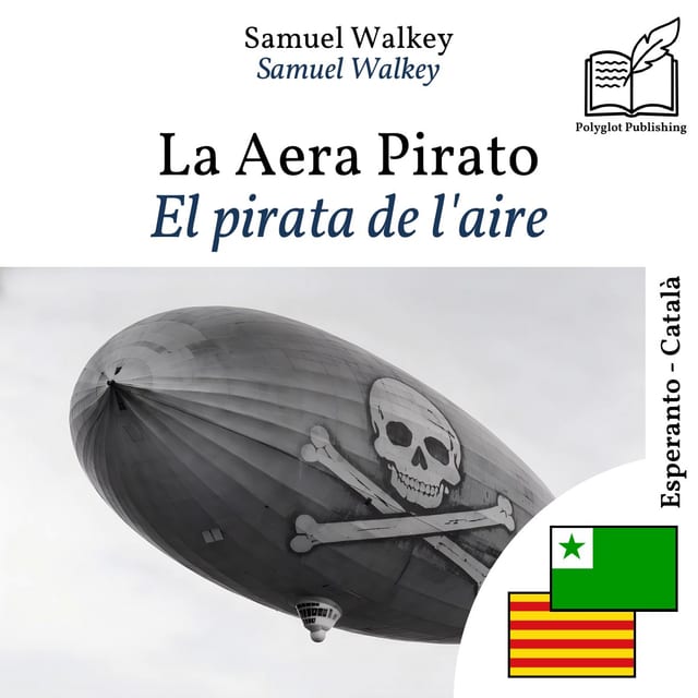 El pirata de l'aire