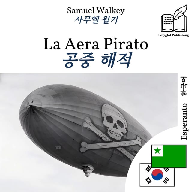 공중 해적