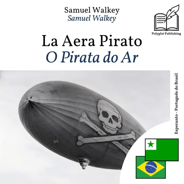 O Pirata do Ar