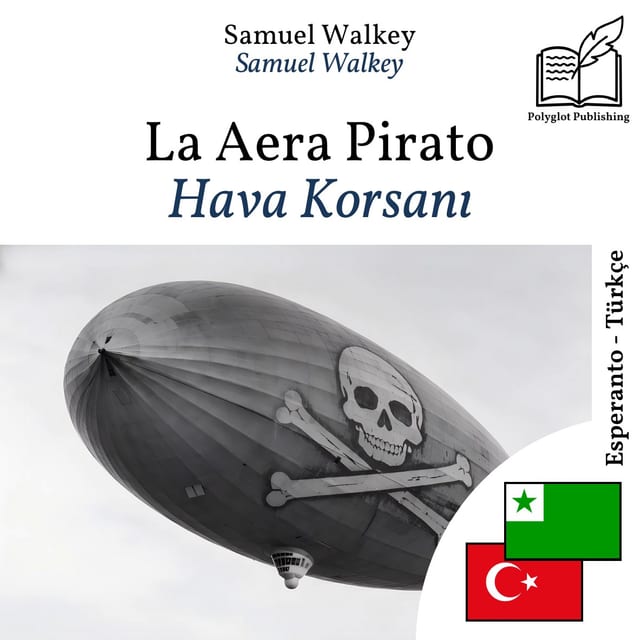 Hava Korsanı