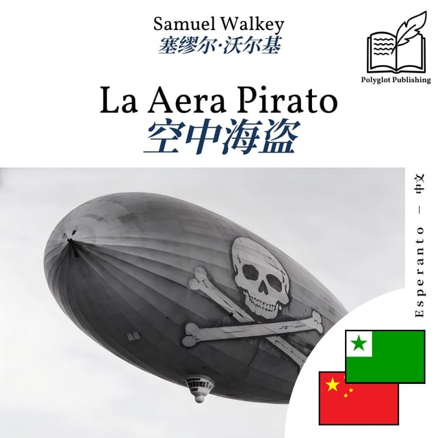 空中海盗
