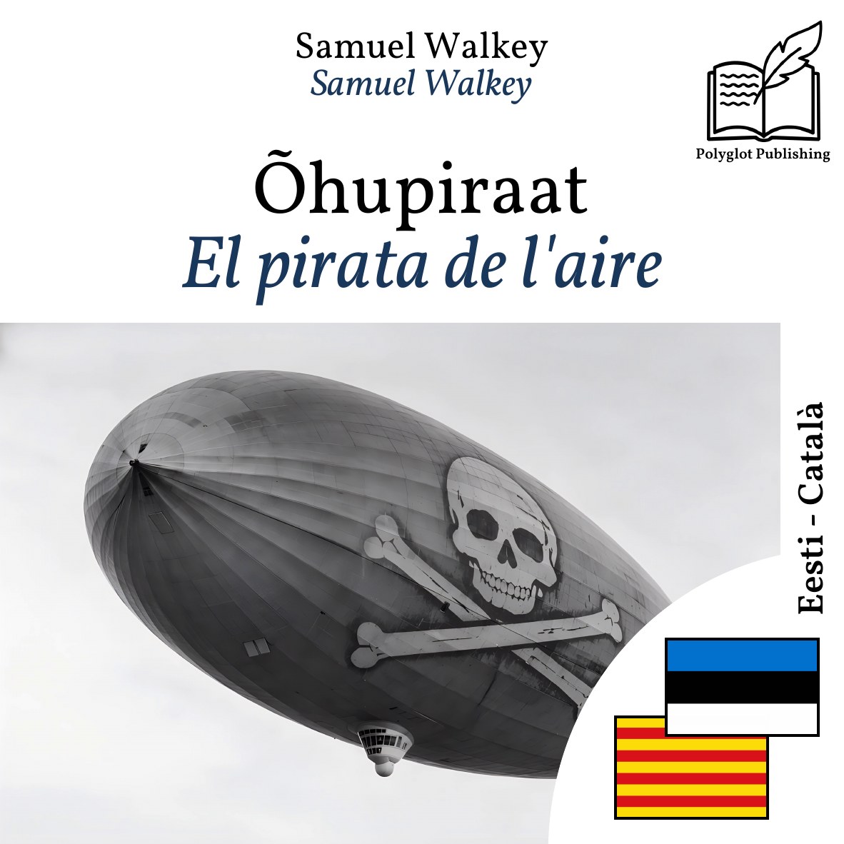 El pirata de l'aire
