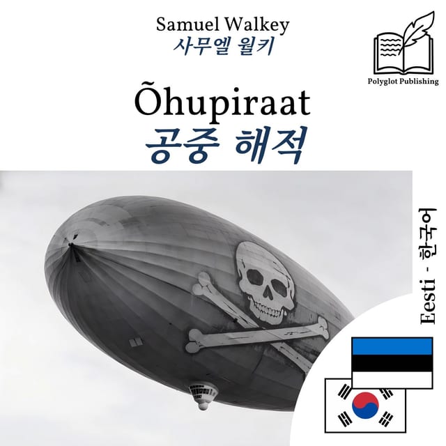 공중 해적