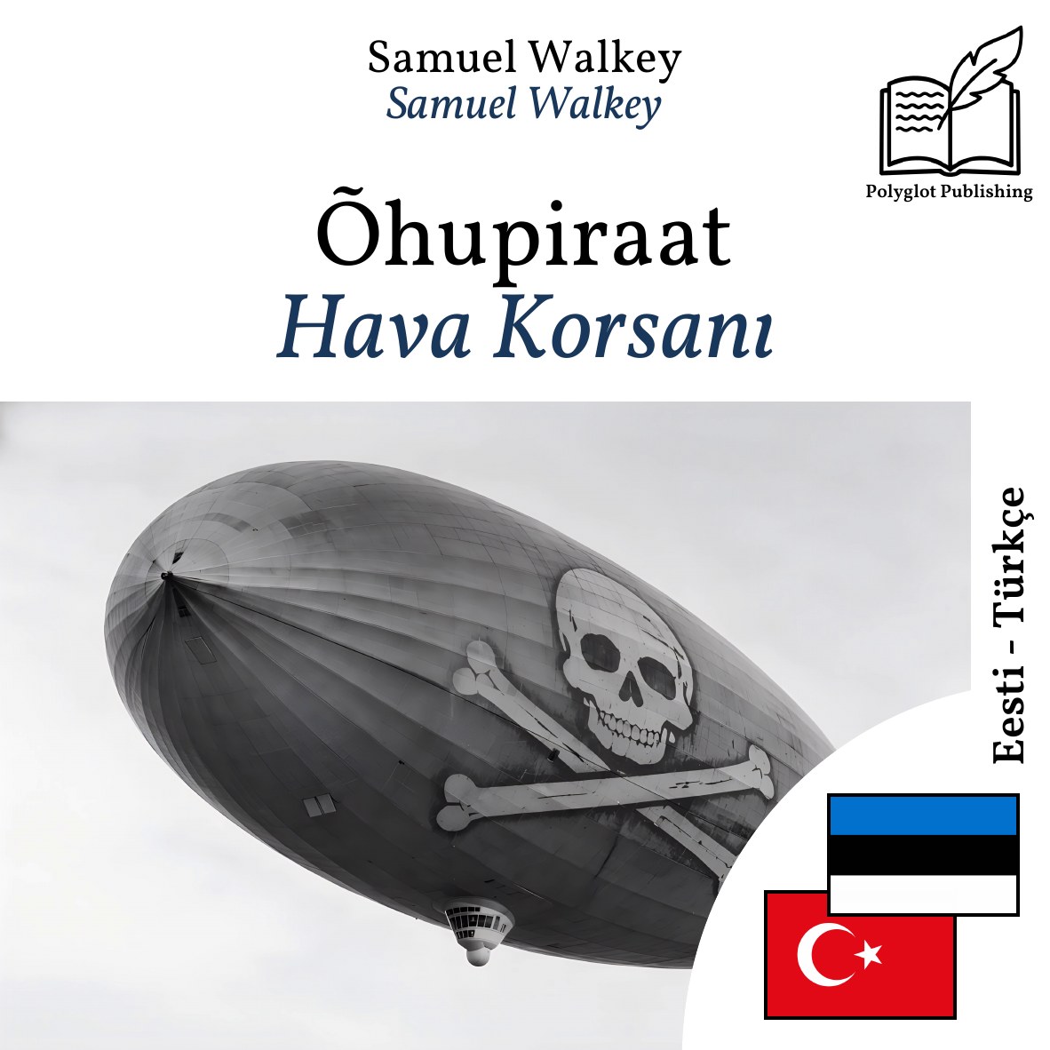 Hava Korsanı