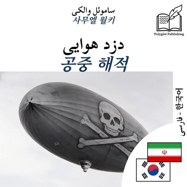 공중 해적