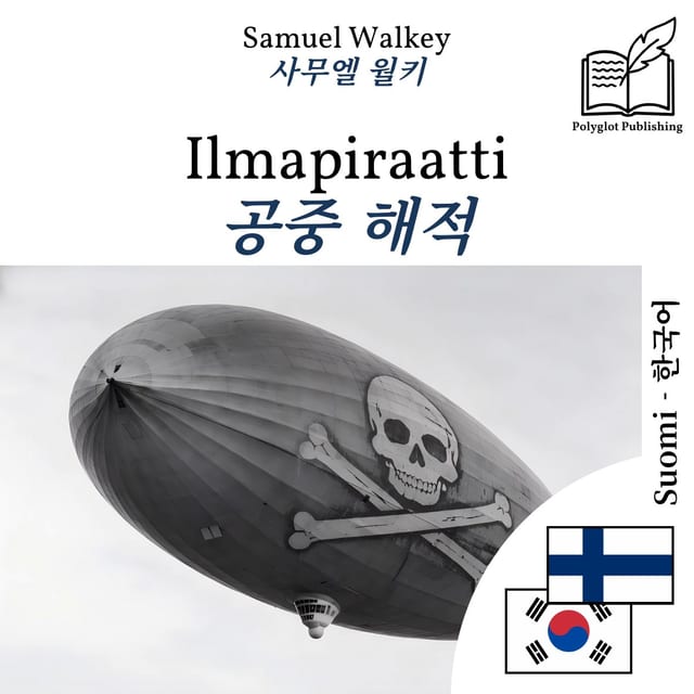 공중 해적