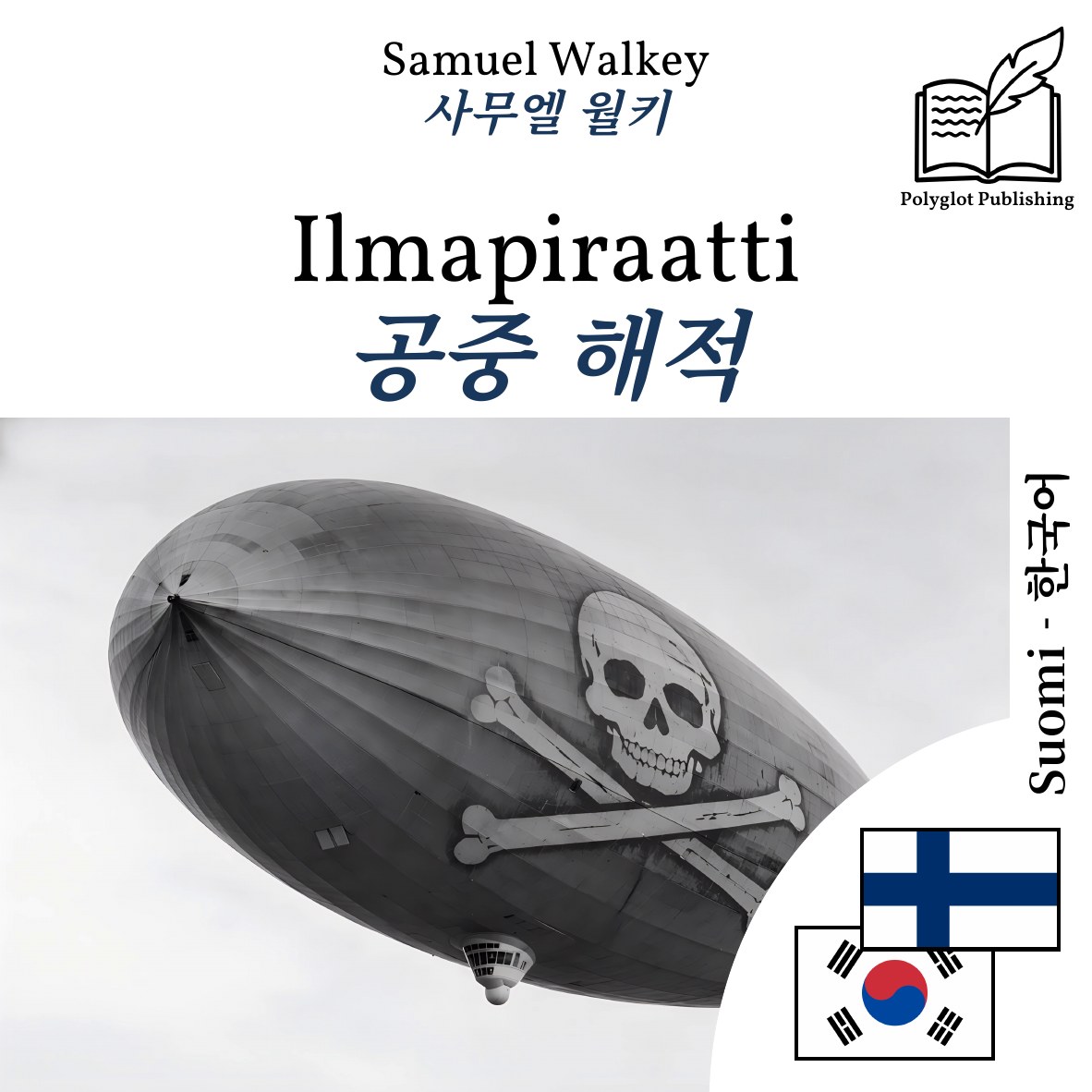 공중 해적