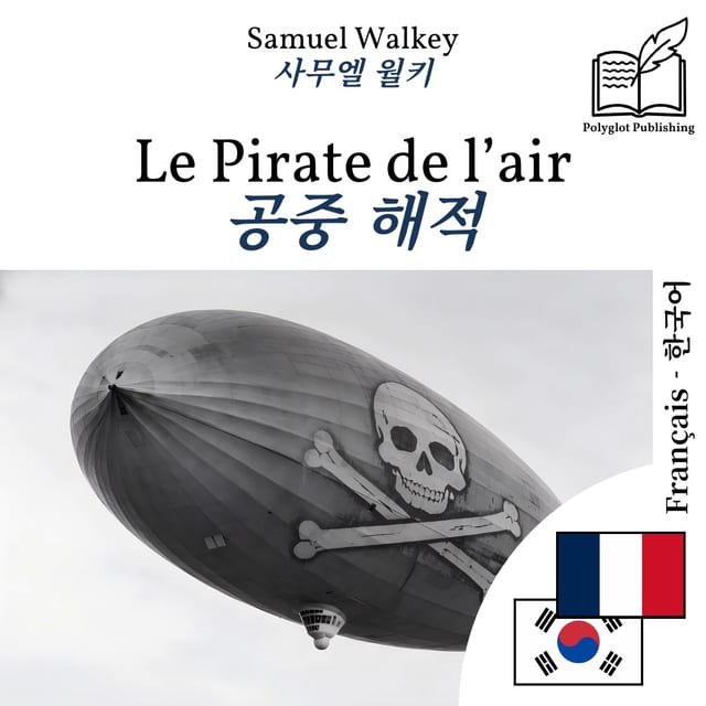 공중 해적