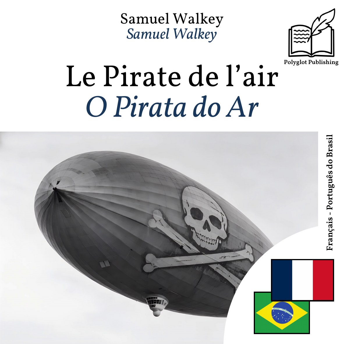 O Pirata do Ar