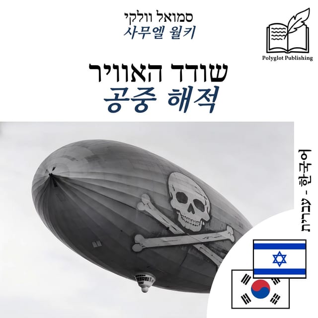 공중 해적