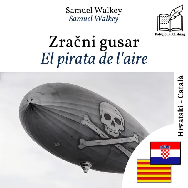El pirata de l'aire