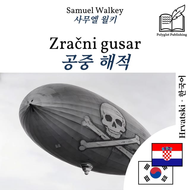공중 해적