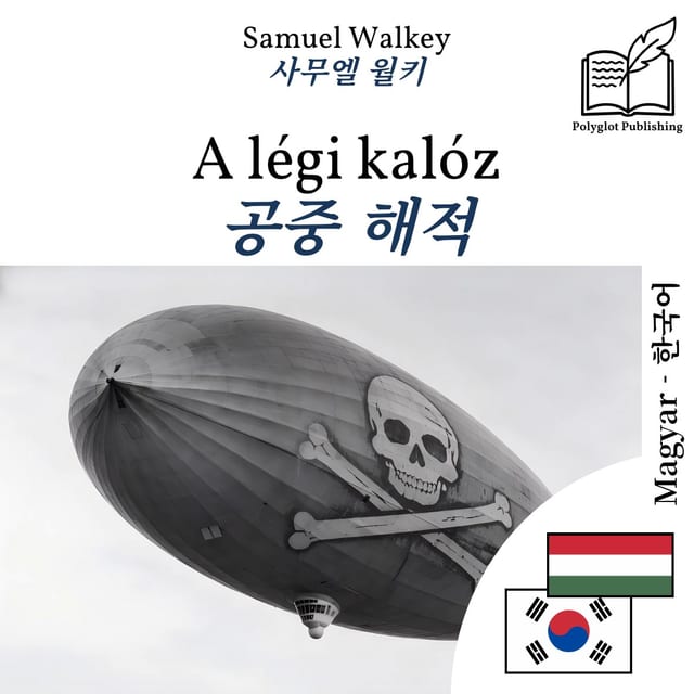 공중 해적