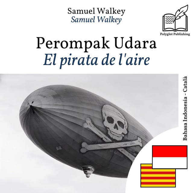 El pirata de l'aire