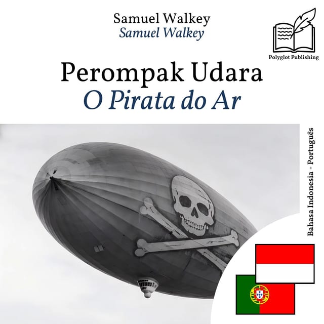 O Pirata do Ar
