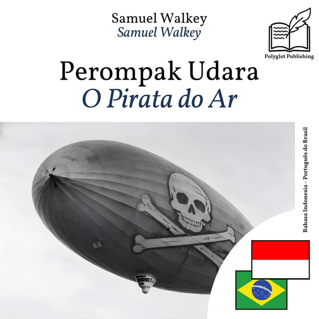O Pirata do Ar