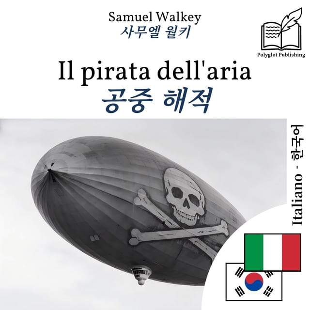 공중 해적