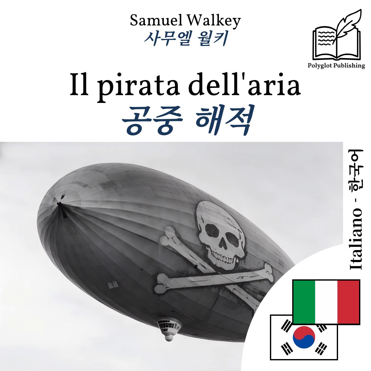 공중 해적