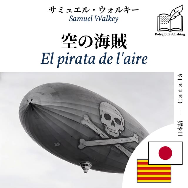 El pirata de l'aire