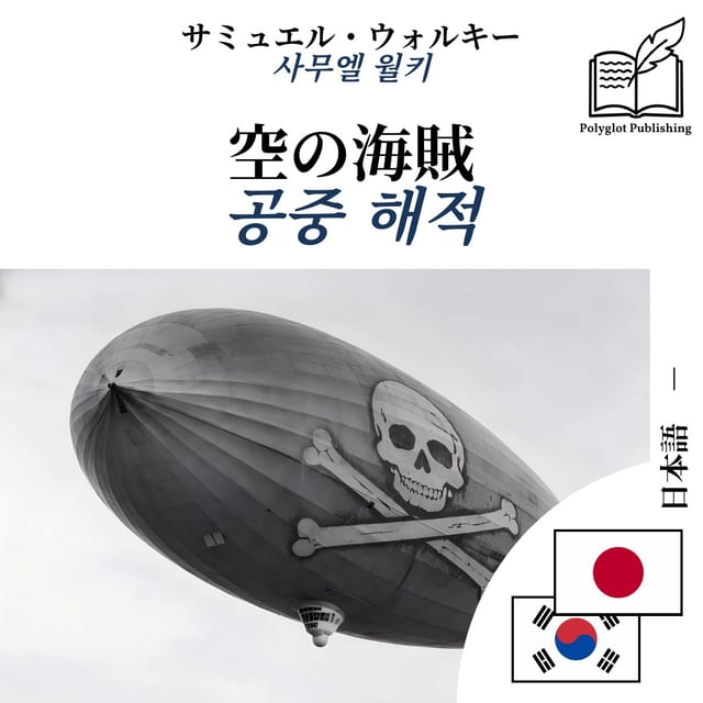 공중 해적
