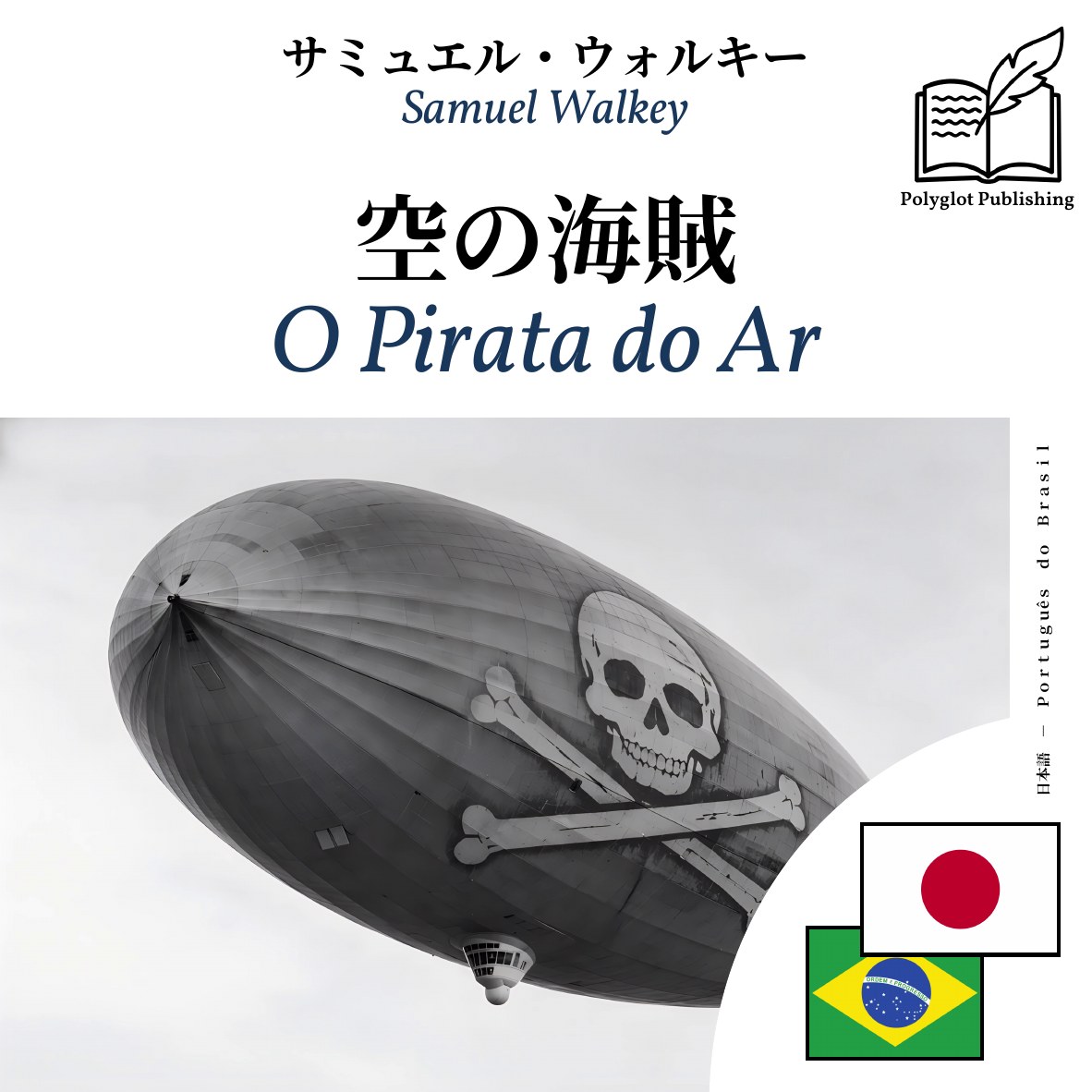 O Pirata do Ar