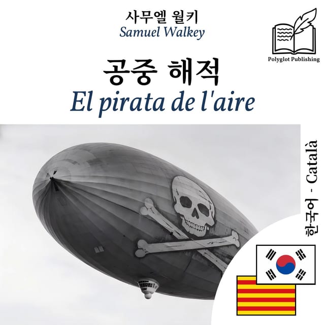 El pirata de l'aire