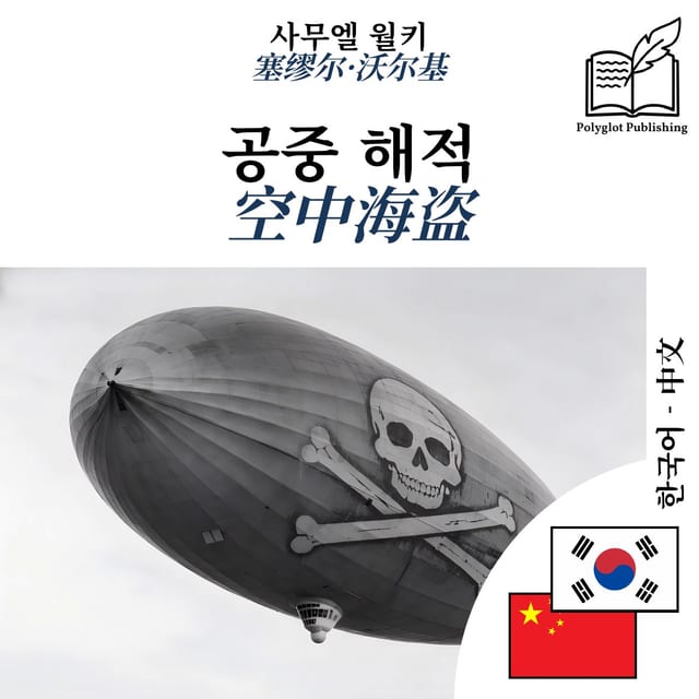 空中海盗